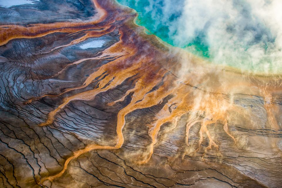 Wild Wolves of Yellowstone | National Geographic Live